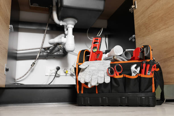 Best Emergency Plumber  in Center Line, MI